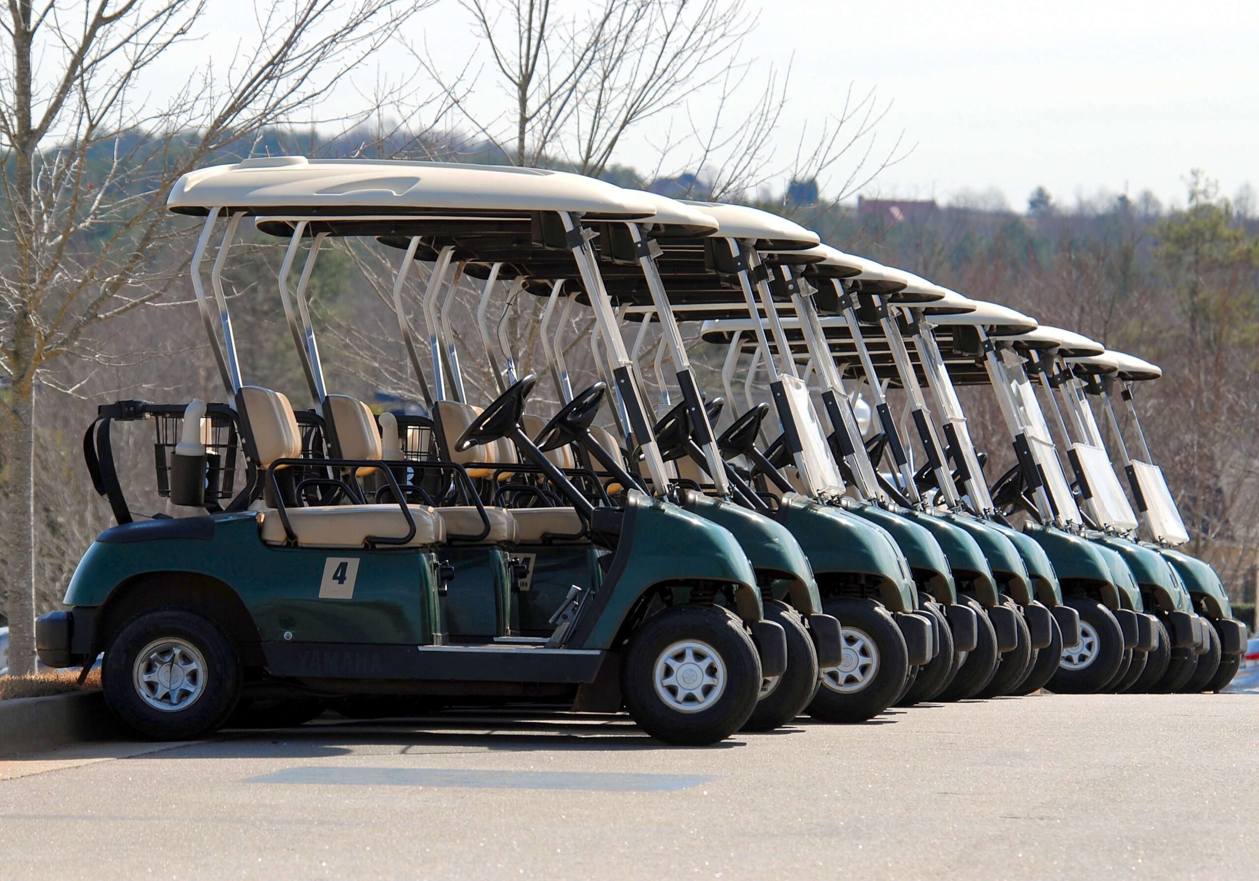 How Much Does a Golf Cart Cost? An Ultimate Guide to Affordable and